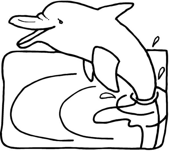 Раскраска: дельфин (Животные) #5144 - Бесплатные раскраски для печати