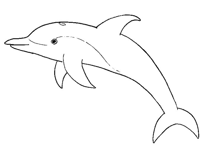 Раскраска: дельфин (Животные) #5145 - Бесплатные раскраски для печати