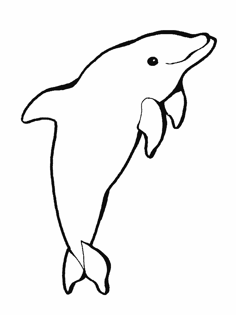 Раскраска: дельфин (Животные) #5151 - Бесплатные раскраски для печати