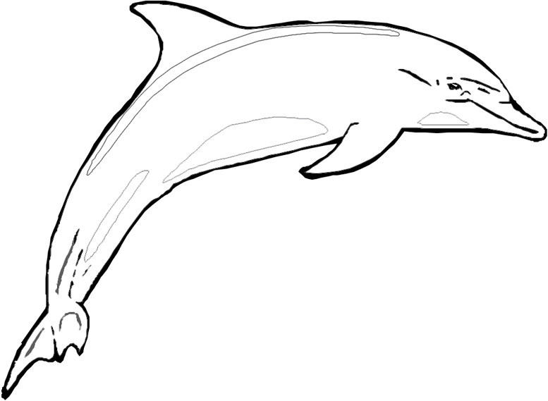 Раскраска: дельфин (Животные) #5159 - Бесплатные раскраски для печати