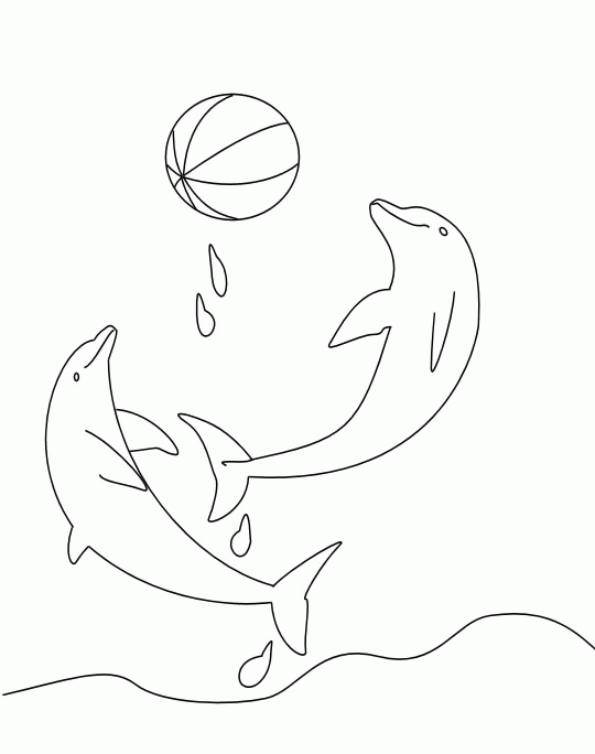 Раскраска: дельфин (Животные) #5201 - Бесплатные раскраски для печати