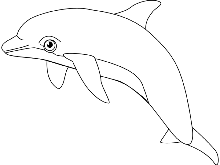 Раскраска: дельфин (Животные) #5206 - Бесплатные раскраски для печати