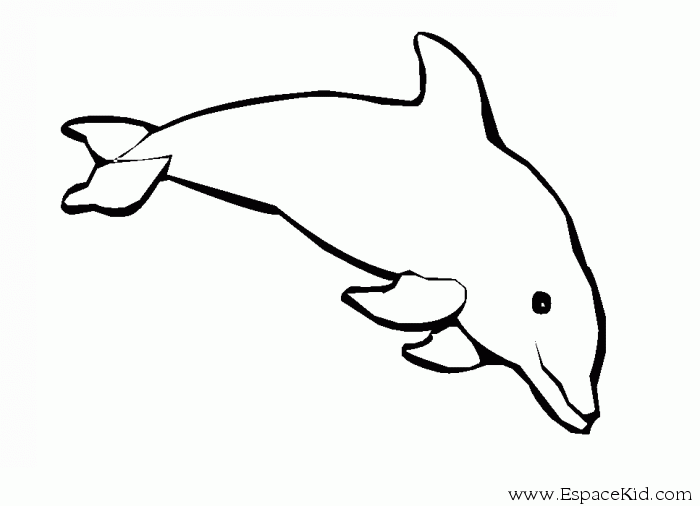 Раскраска: дельфин (Животные) #5209 - Бесплатные раскраски для печати