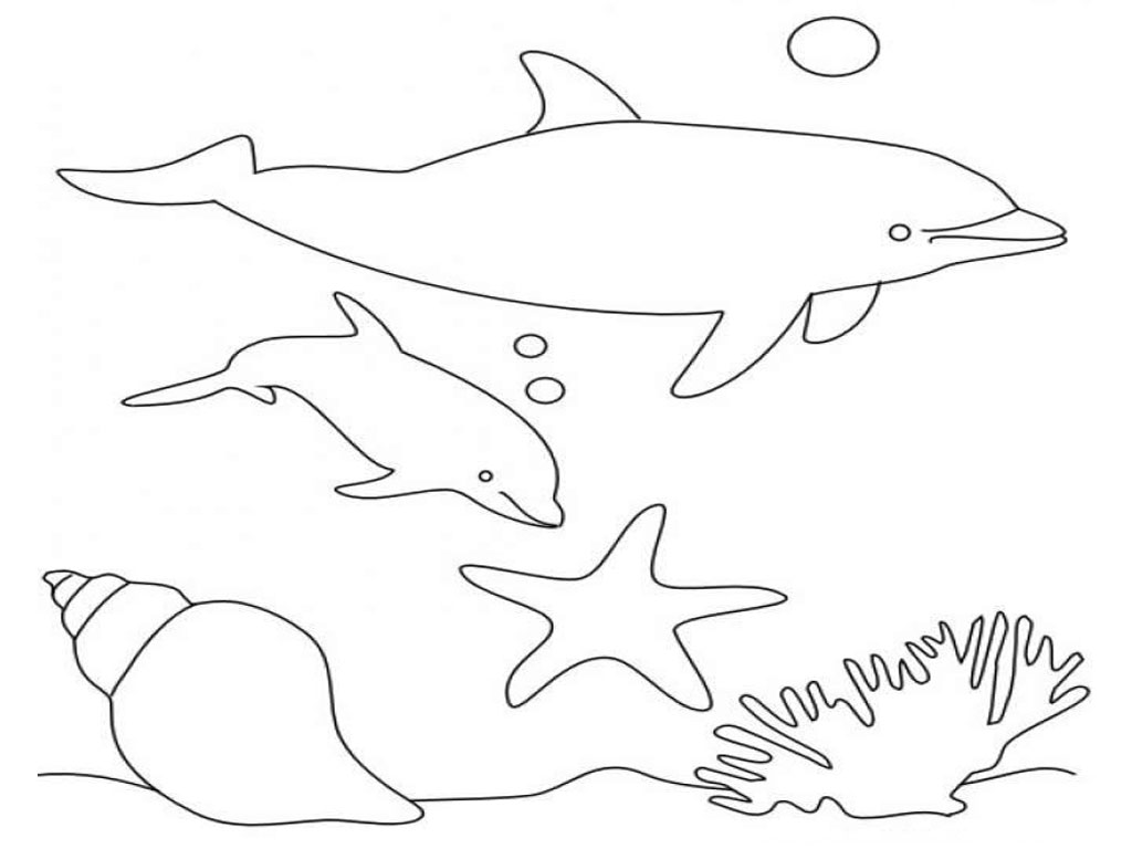 Раскраска: дельфин (Животные) #5219 - Бесплатные раскраски для печати