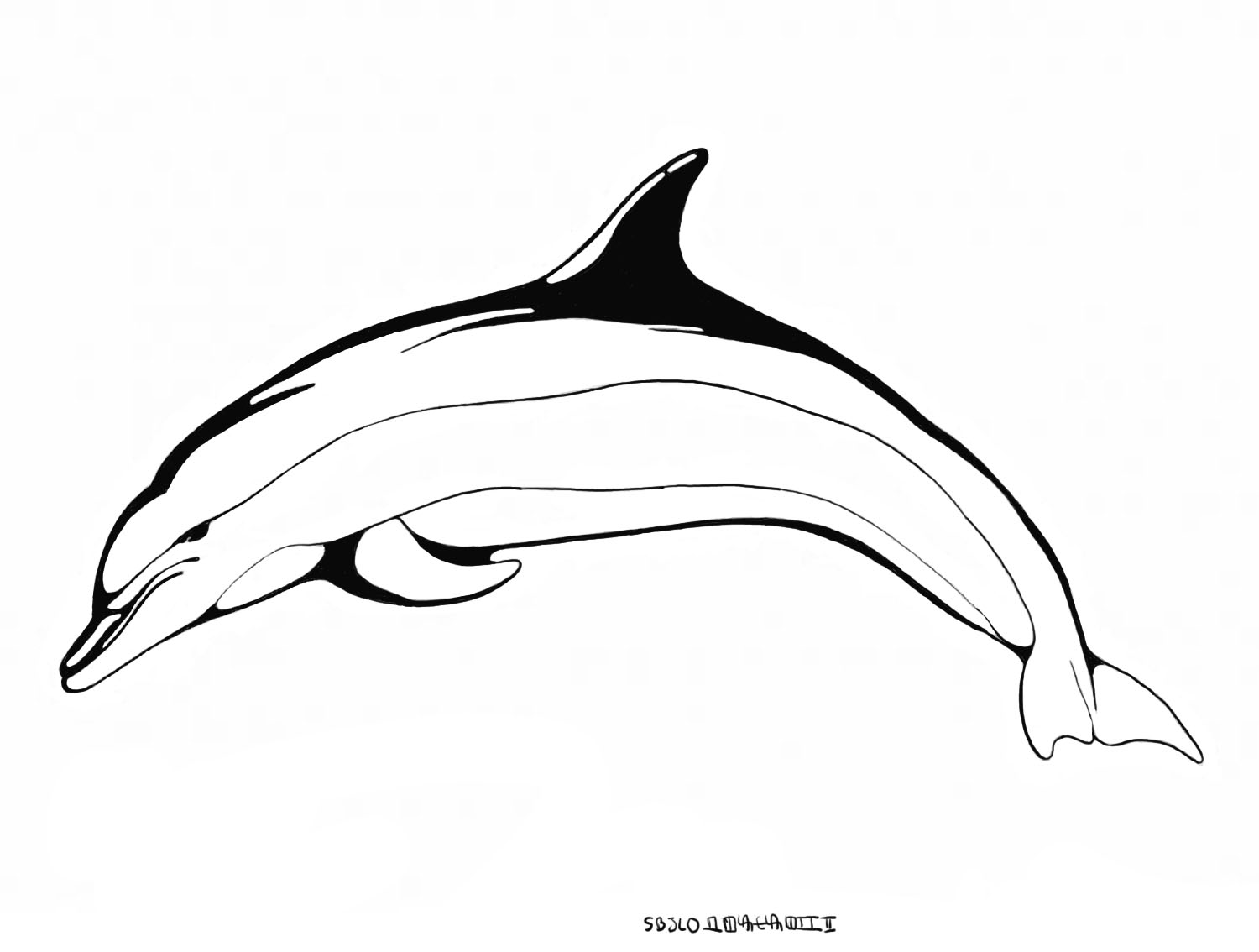 Раскраска: дельфин (Животные) #5220 - Бесплатные раскраски для печати