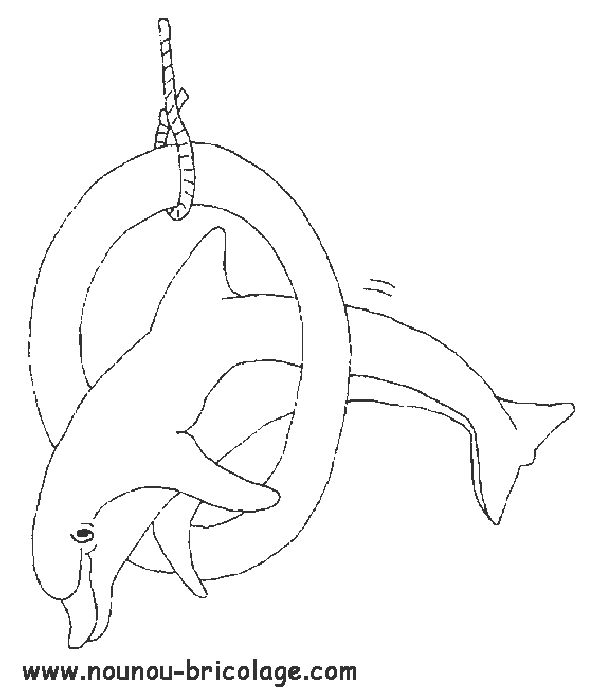 Раскраска: дельфин (Животные) #5233 - Бесплатные раскраски для печати