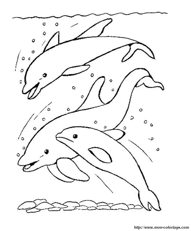 Раскраска: дельфин (Животные) #5251 - Бесплатные раскраски для печати