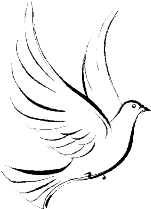 Раскраска: голубь (Животные) #3884 - Бесплатные раскраски для печати