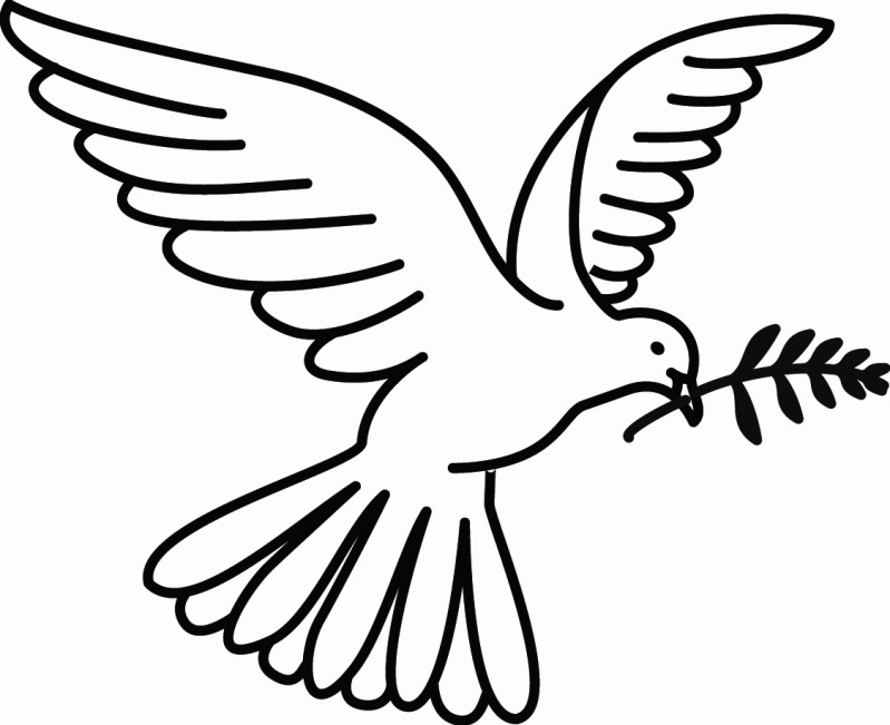 Раскраска: голубь (Животные) #3887 - Бесплатные раскраски для печати