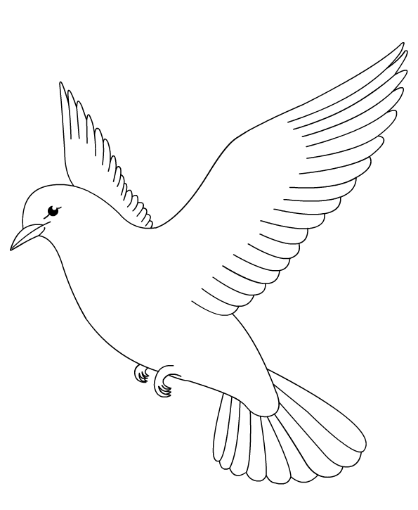 Раскраска: голубь (Животные) #3895 - Бесплатные раскраски для печати