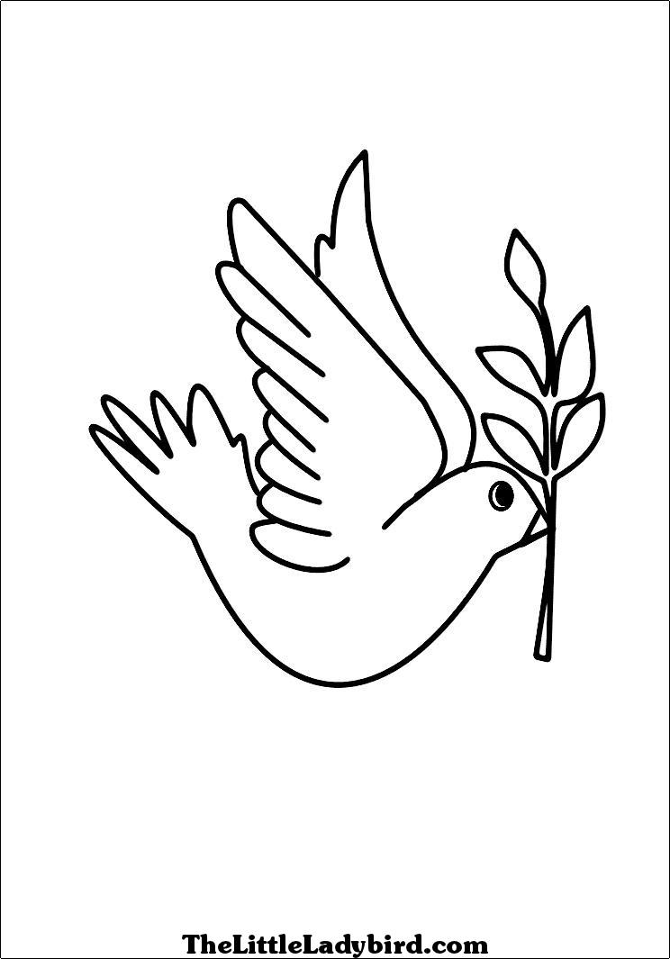 Раскраска: голубь (Животные) #3939 - Бесплатные раскраски для печати