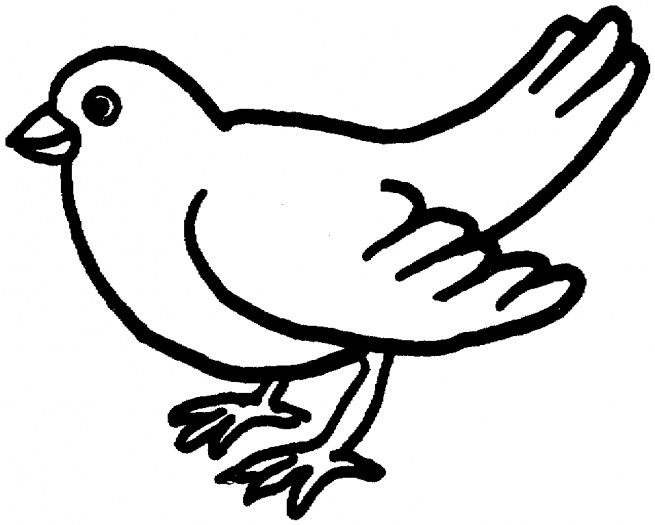Раскраска: голубь (Животные) #3959 - Бесплатные раскраски для печати