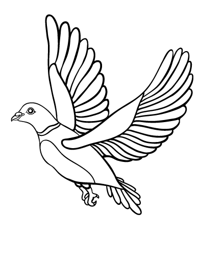 Раскраска: голубь (Животные) #3986 - Бесплатные раскраски для печати