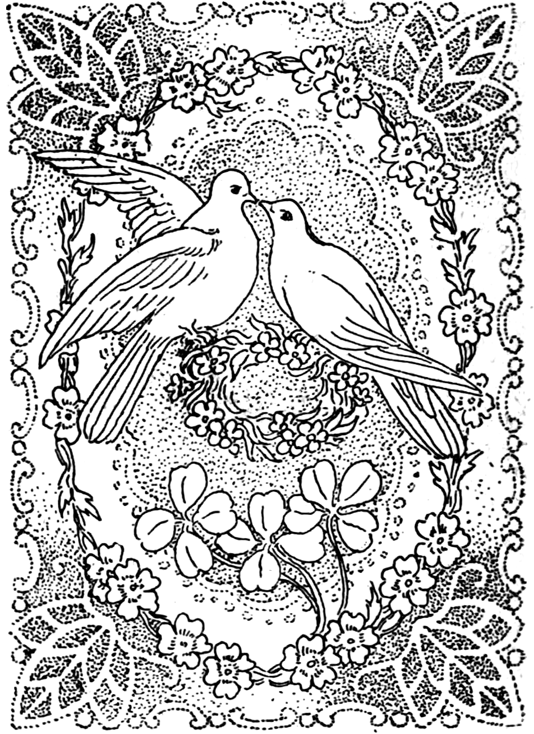Раскраска: голубь (Животные) #4021 - Бесплатные раскраски для печати