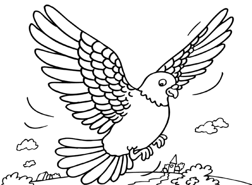Раскраска: голубь (Животные) #4026 - Бесплатные раскраски для печати