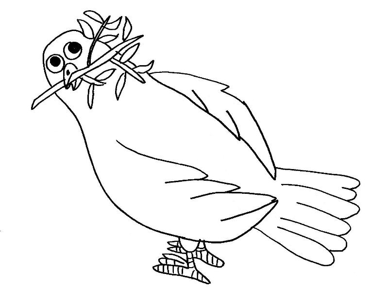 Раскраска: голубь (Животные) #4030 - Бесплатные раскраски для печати