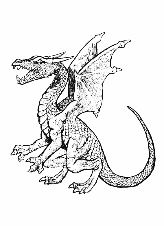 Раскраска: дракон (Животные) #5712 - Бесплатные раскраски для печати