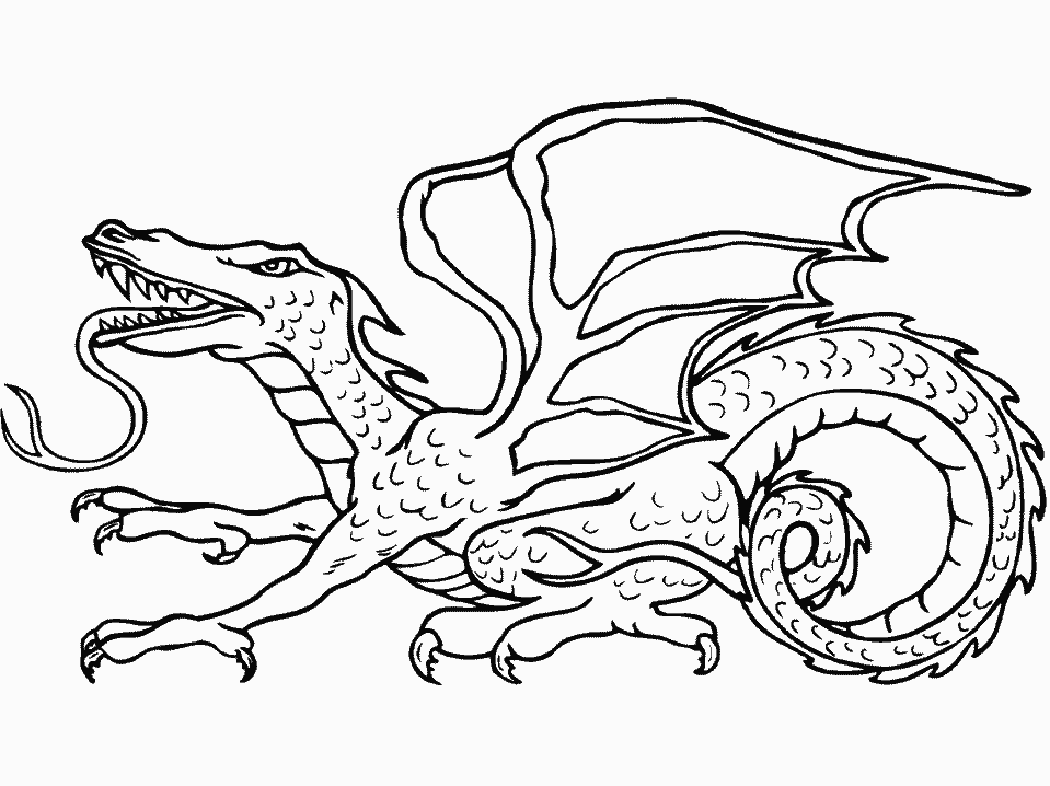 Раскраска: дракон (Животные) #5732 - Бесплатные раскраски для печати