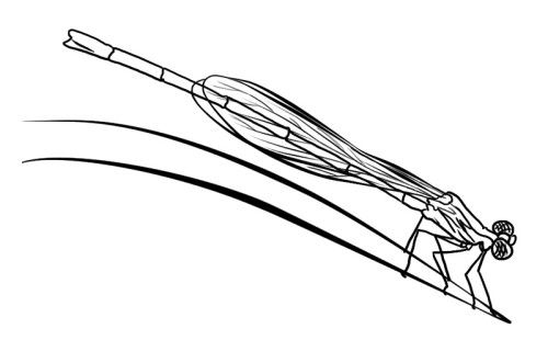 Раскраска: стрекоза (Животные) #10049 - Бесплатные раскраски для печати