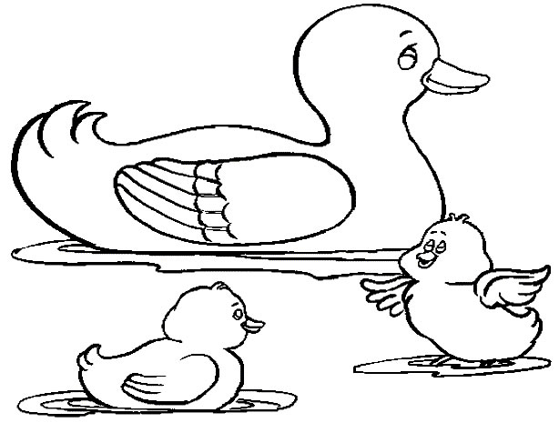 Раскраска: утка (Животные) #1445 - Бесплатные раскраски для печати