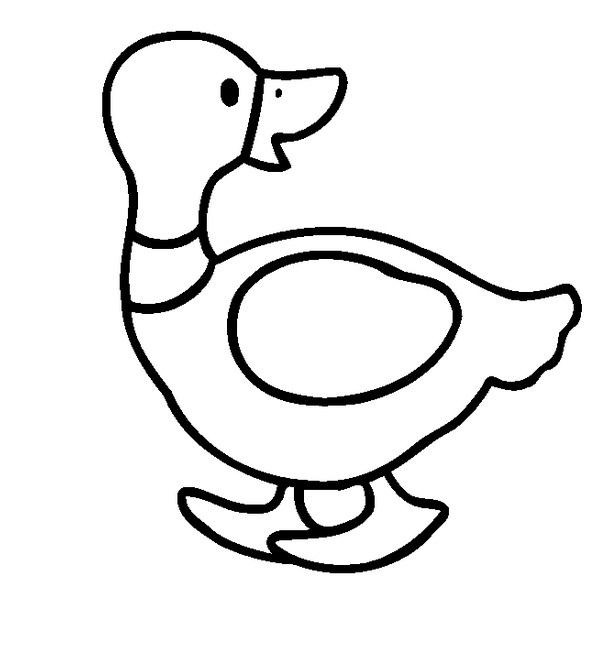 Раскраска: утка (Животные) #1447 - Бесплатные раскраски для печати