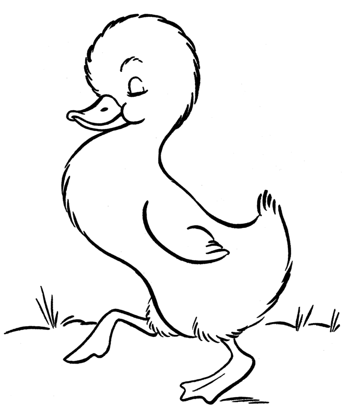 Раскраска: утка (Животные) #1479 - Бесплатные раскраски для печати