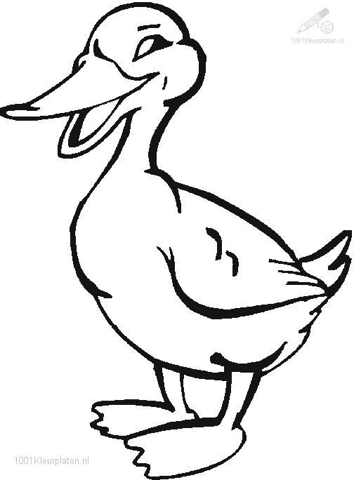 Раскраска: утка (Животные) #1481 - Бесплатные раскраски для печати