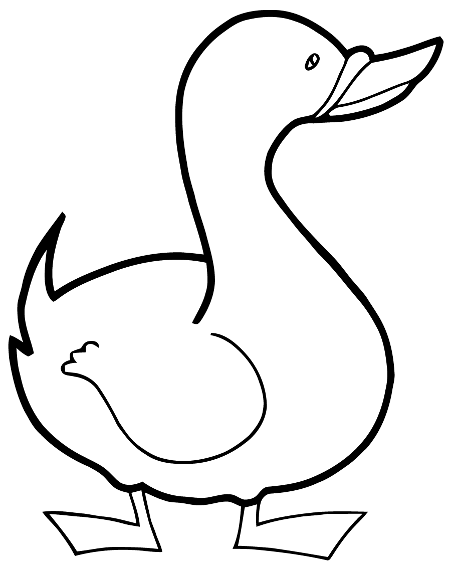 Раскраска: утка (Животные) #1484 - Бесплатные раскраски для печати
