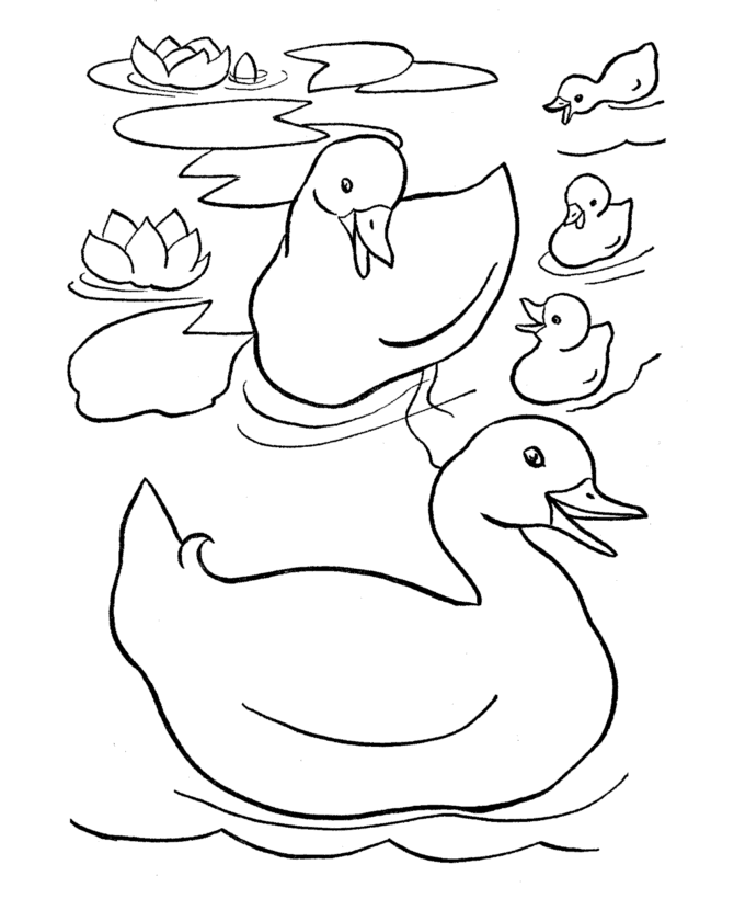Раскраска: утка (Животные) #1494 - Бесплатные раскраски для печати