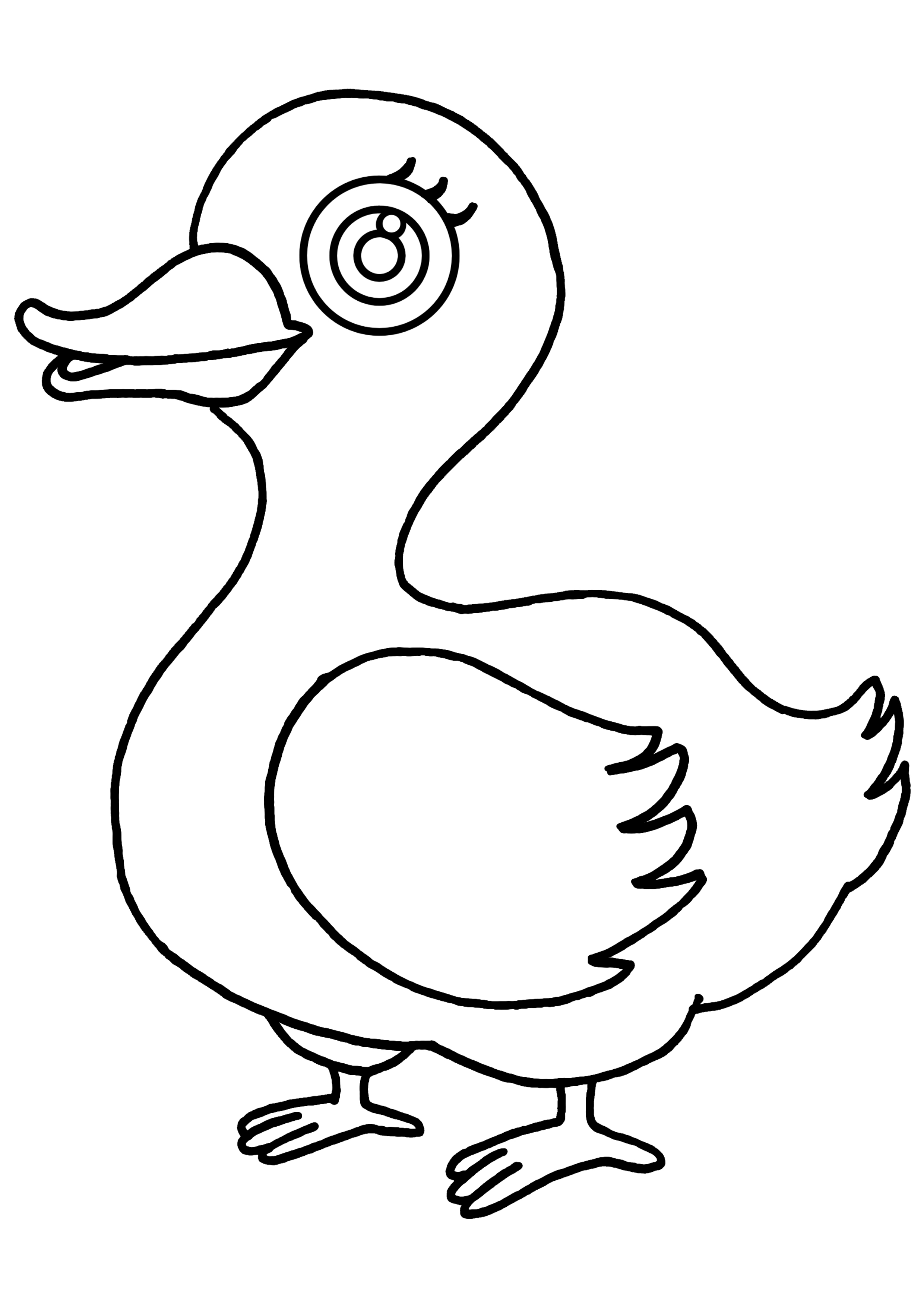 Раскраска: утка (Животные) #1507 - Бесплатные раскраски для печати