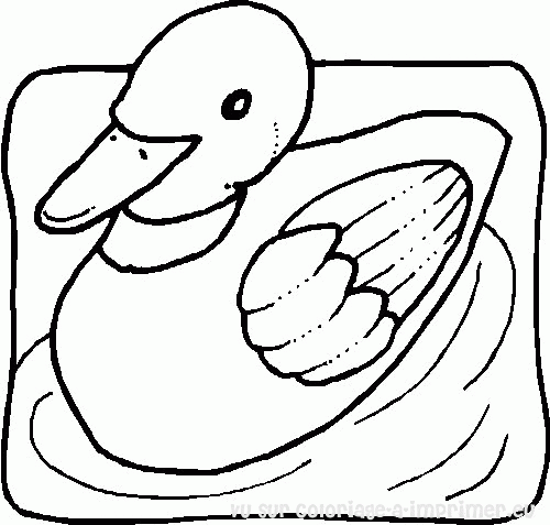 Раскраска: утка (Животные) #1508 - Бесплатные раскраски для печати