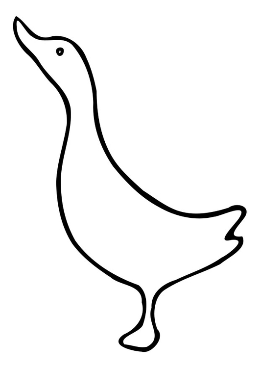 Раскраска: утка (Животные) #1514 - Бесплатные раскраски для печати