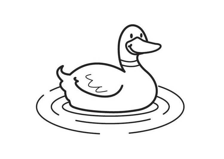 Раскраска: утка (Животные) #1515 - Бесплатные раскраски для печати