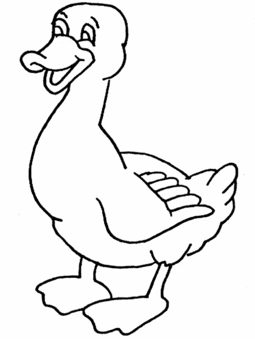 Раскраска: утка (Животные) #1524 - Бесплатные раскраски для печати