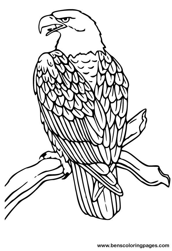 Раскраска: орел (Животные) #279 - Бесплатные раскраски для печати