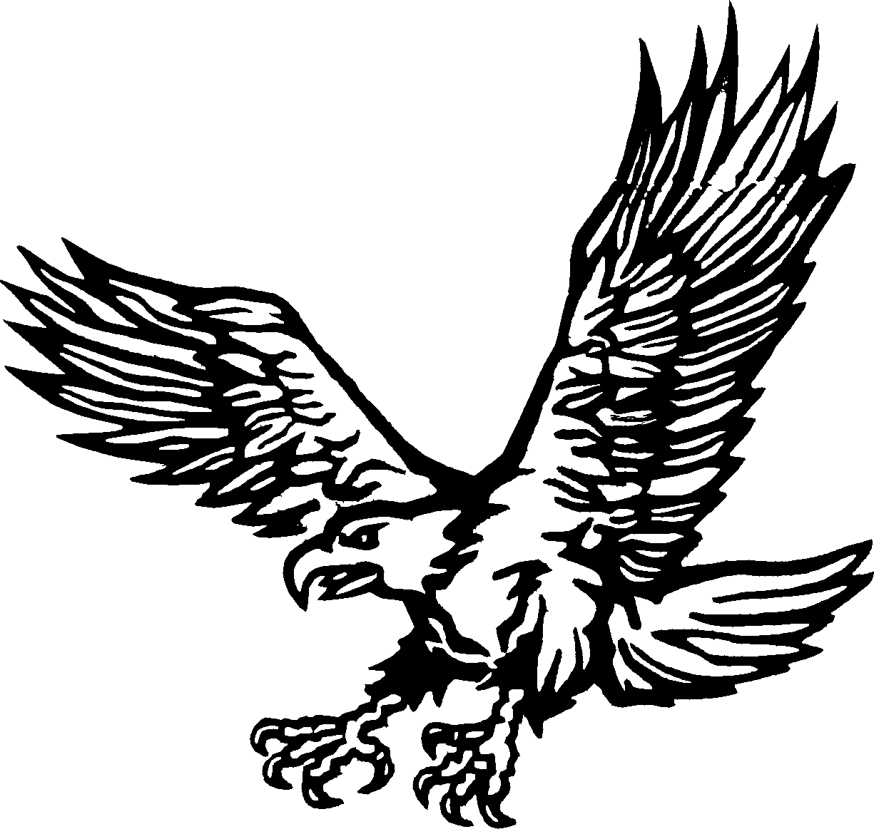 Раскраска: орел (Животные) #288 - Бесплатные раскраски для печати