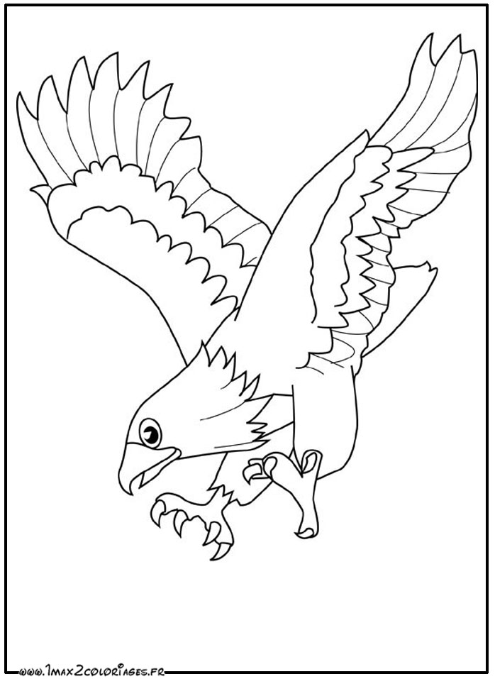 Раскраска: орел (Животные) #290 - Бесплатные раскраски для печати
