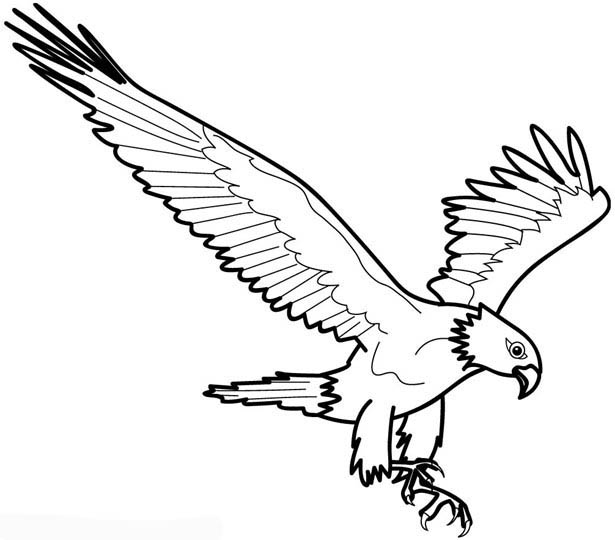 Раскраска: орел (Животные) #294 - Бесплатные раскраски для печати