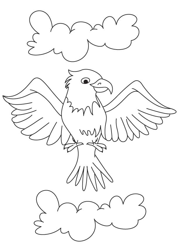 Раскраска: орел (Животные) #306 - Бесплатные раскраски для печати