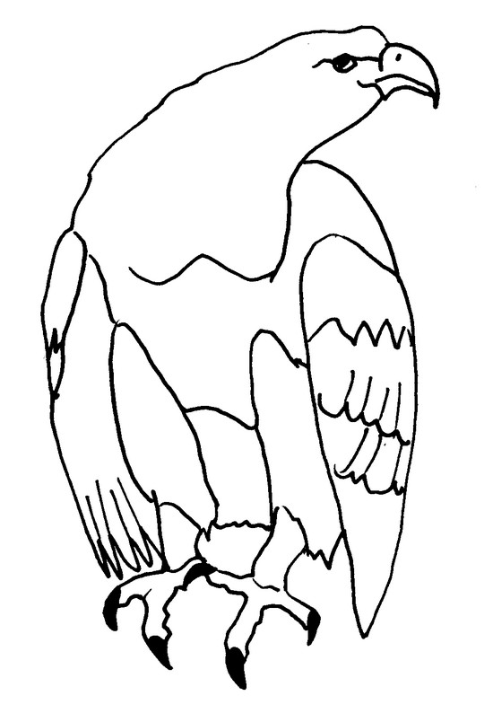Раскраска: орел (Животные) #316 - Бесплатные раскраски для печати