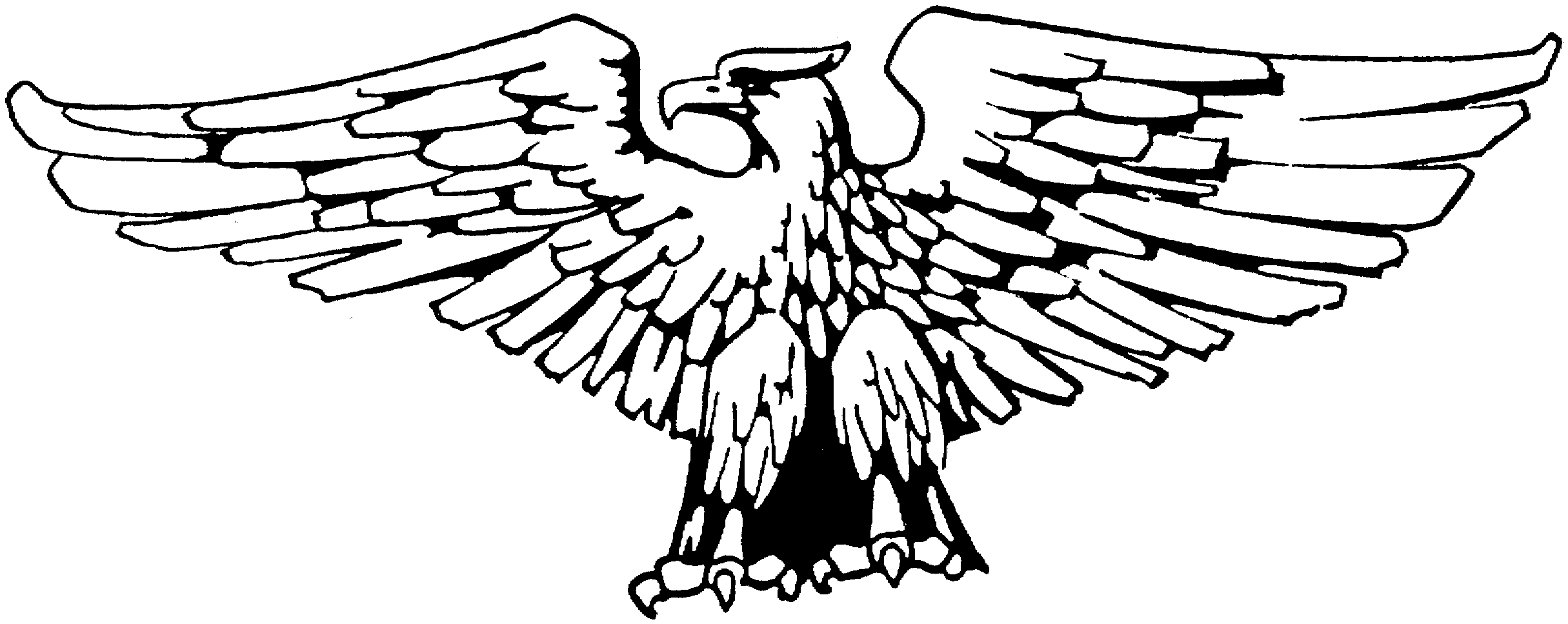 Раскраска: орел (Животные) #331 - Бесплатные раскраски для печати