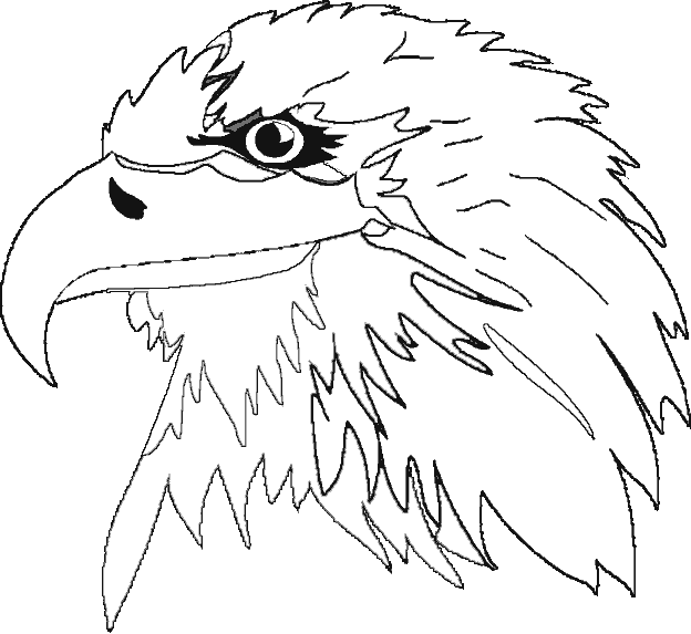 Раскраска: орел (Животные) #341 - Бесплатные раскраски для печати