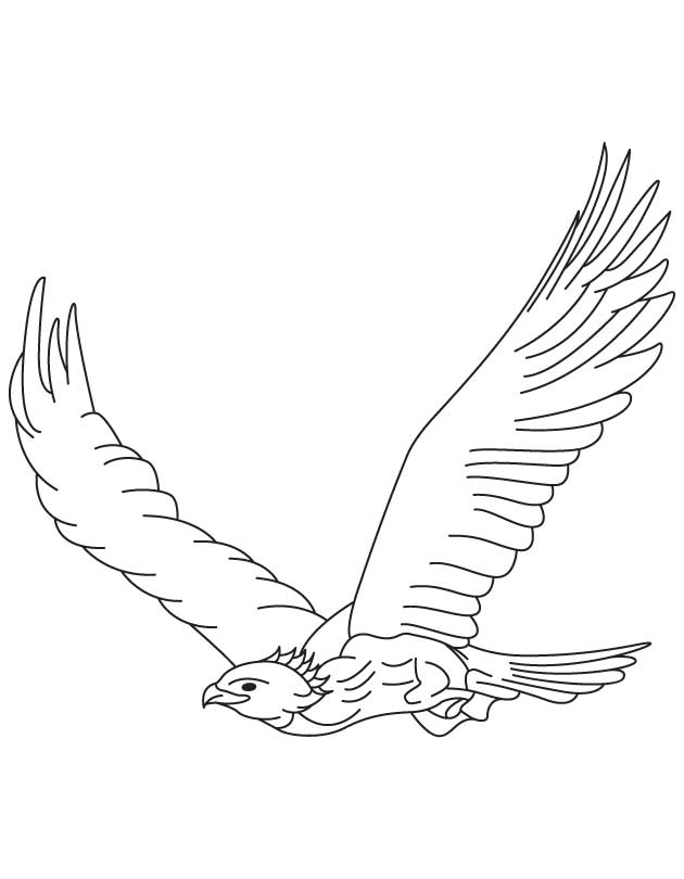 Раскраска: орел (Животные) #353 - Бесплатные раскраски для печати