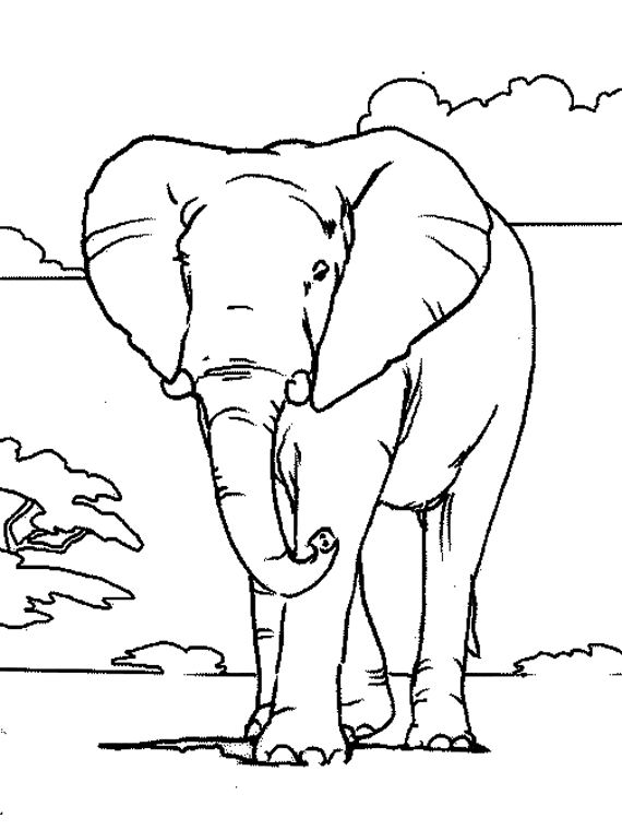 Раскраска: слон (Животные) #6301 - Бесплатные раскраски для печати