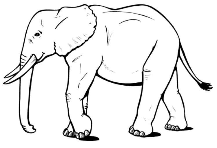 Раскраска: слон (Животные) #6310 - Бесплатные раскраски для печати