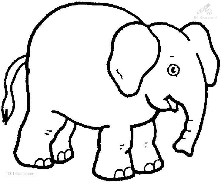 Раскраска: слон (Животные) #6312 - Бесплатные раскраски для печати