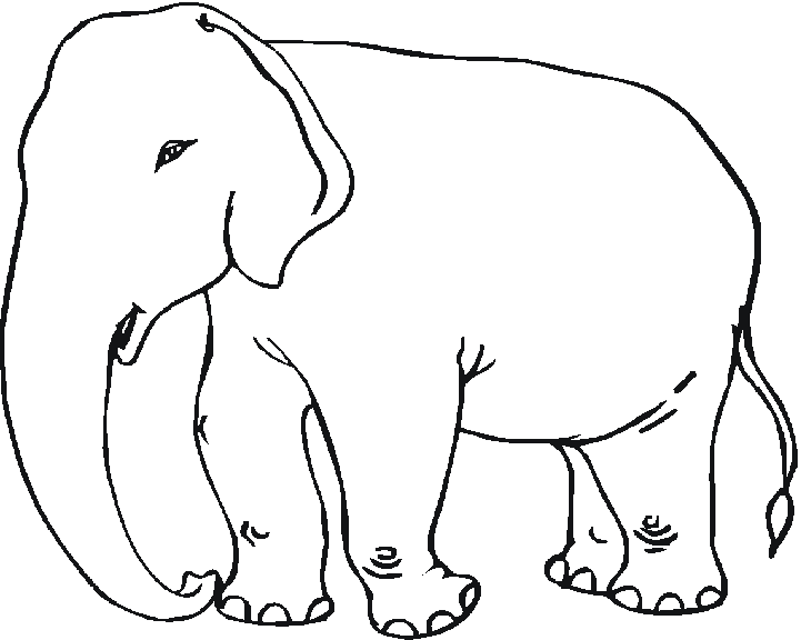 Раскраска: слон (Животные) #6342 - Бесплатные раскраски для печати