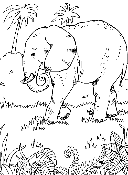 Раскраска: слон (Животные) #6345 - Бесплатные раскраски для печати
