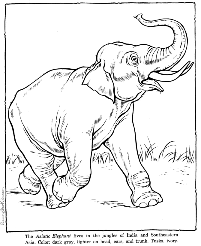 Раскраска: слон (Животные) #6418 - Бесплатные раскраски для печати