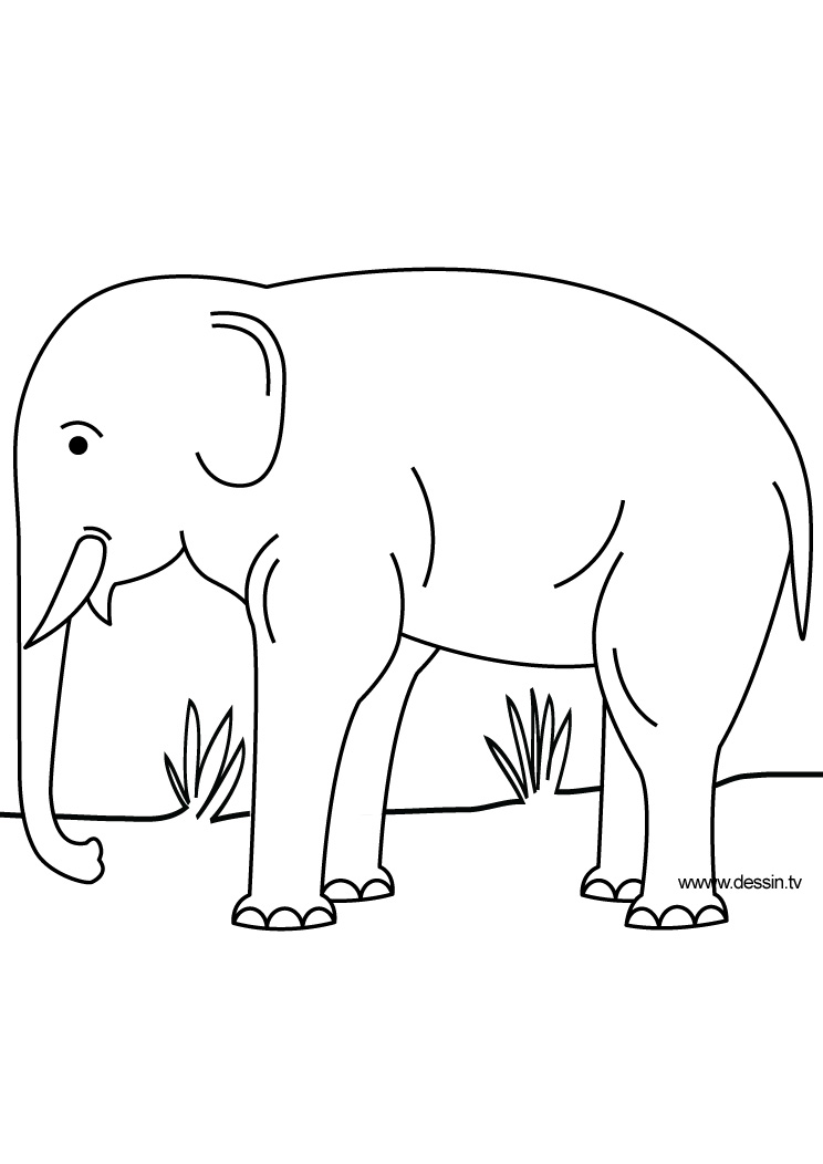 Раскраска: слон (Животные) #6440 - Бесплатные раскраски для печати